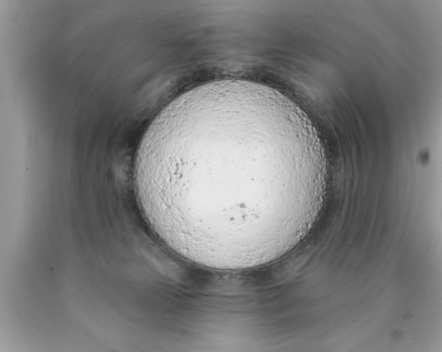X0000089860181200707262136