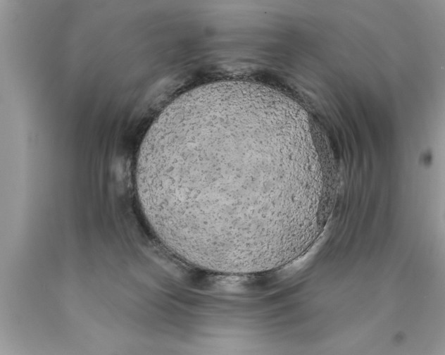 X0000089860182200707262136
