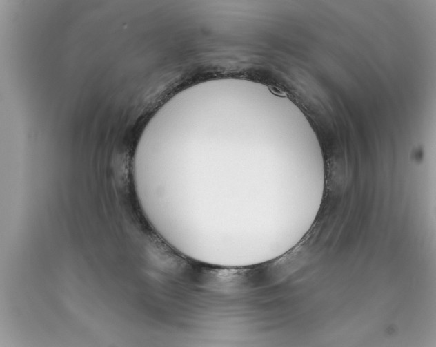X0000089860184200707262136
