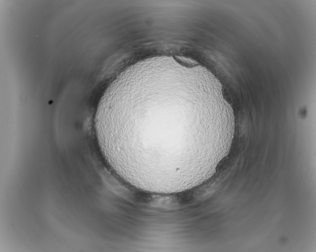 X0000089860185200707262136