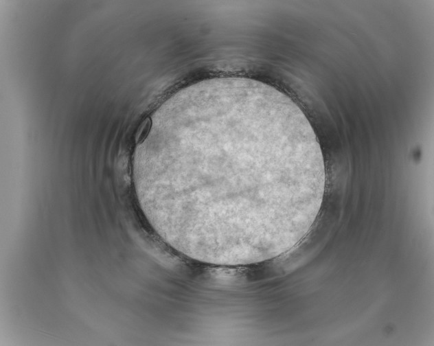 X0000089860187200707262136