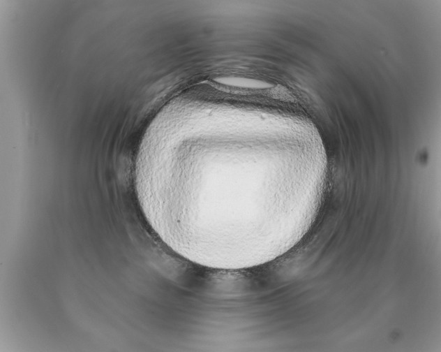 X0000089860189200707262136