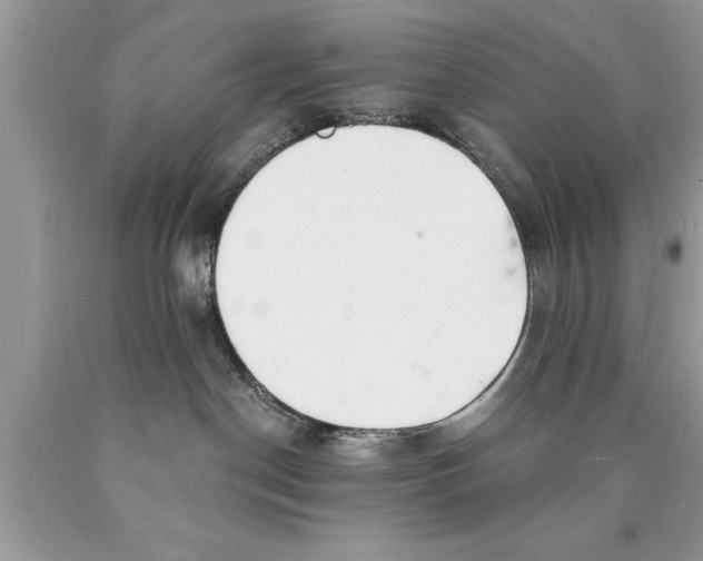 X0000089860190200707262136