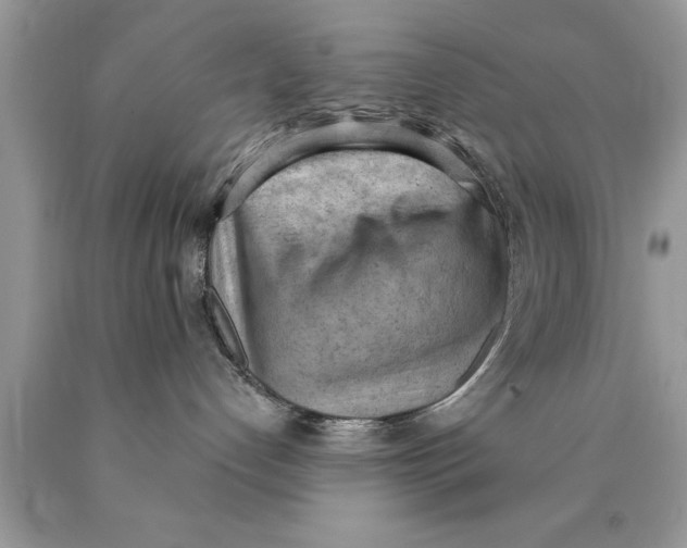 X0000089860192200707262136