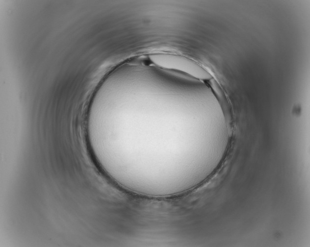 X0000089860193200707262135