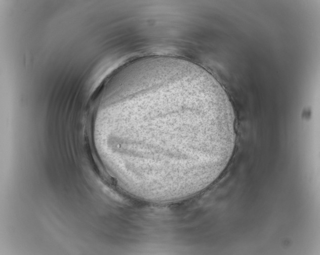 X0000089860194200707262135