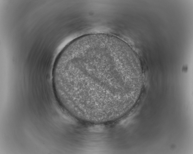 X0000089860196200707262135