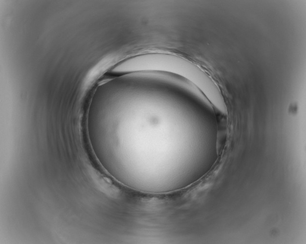 X0000089860197200707262135
