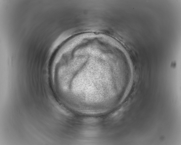 X0000089860198200707262135