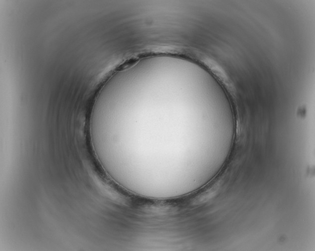 X0000089860201200707262135