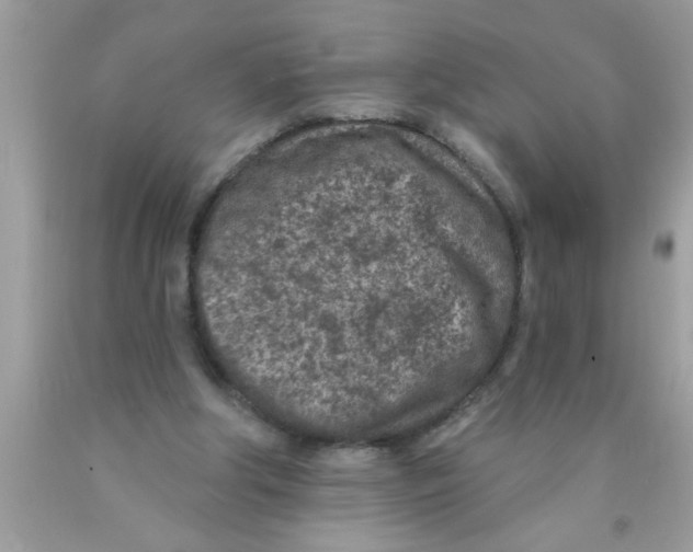 X0000089860202200707262135