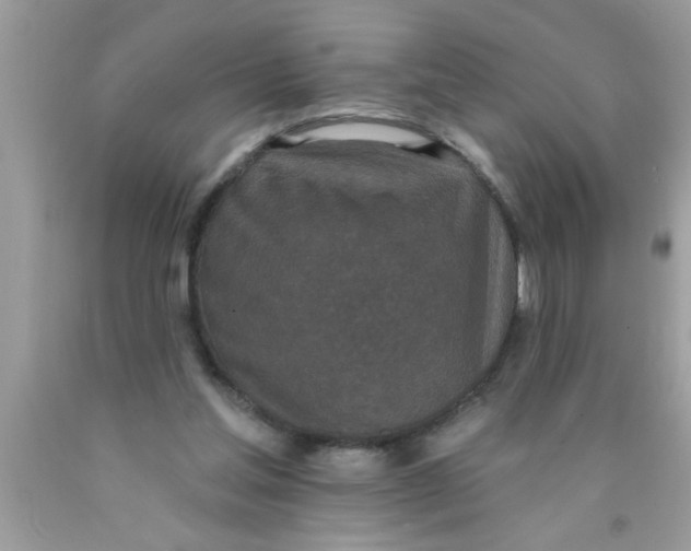 X0000089860205200707262135
