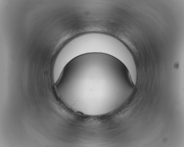 X0000089860207200707262135