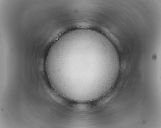 X0000089860209200707262135