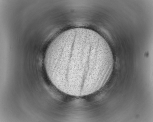 X0000089860210200707262135
