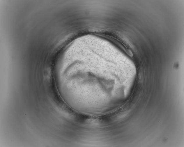 X0000089860211200707262135