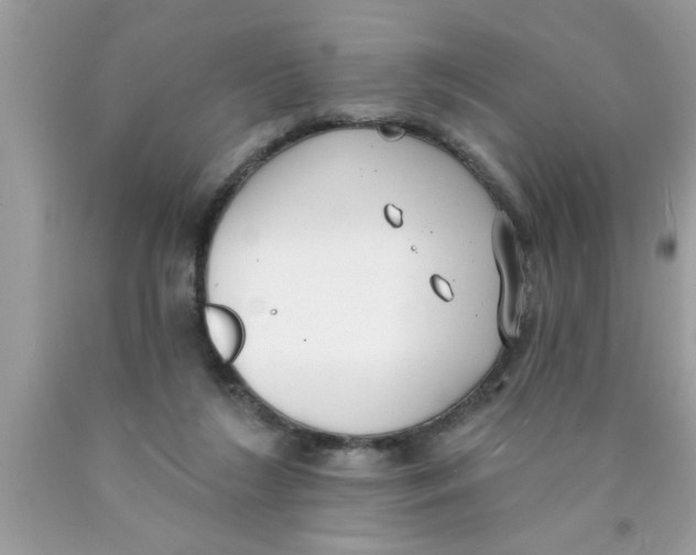 X0000089860212200707262135