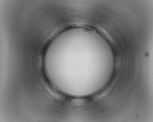 X0000089860213200707262135
