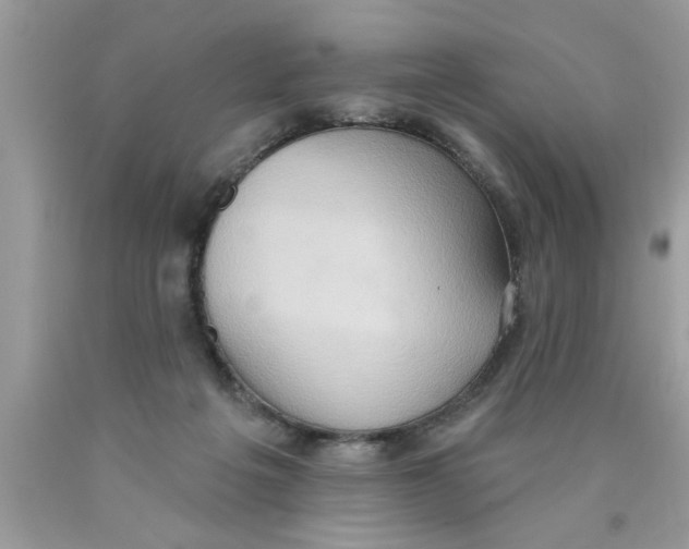 X0000089860217200707262135