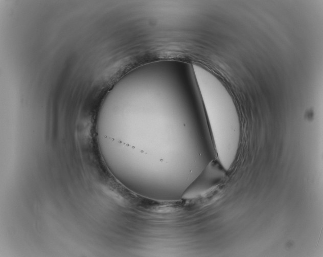 X0000089860219200707262135
