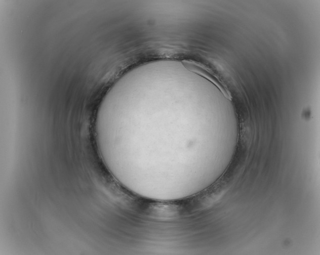 X0000089860221200707262135