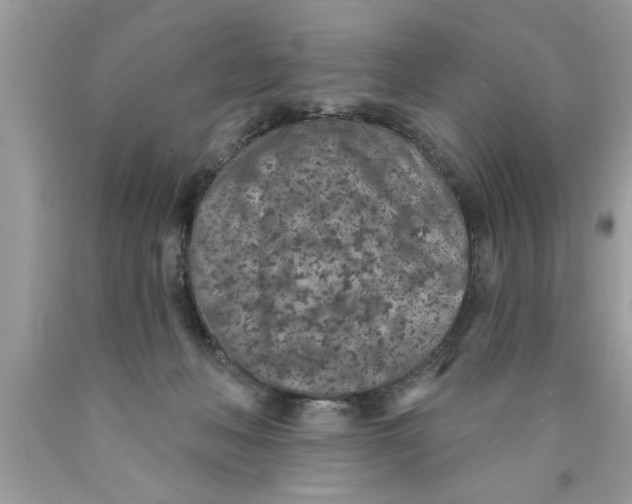 X0000089860222200707262135
