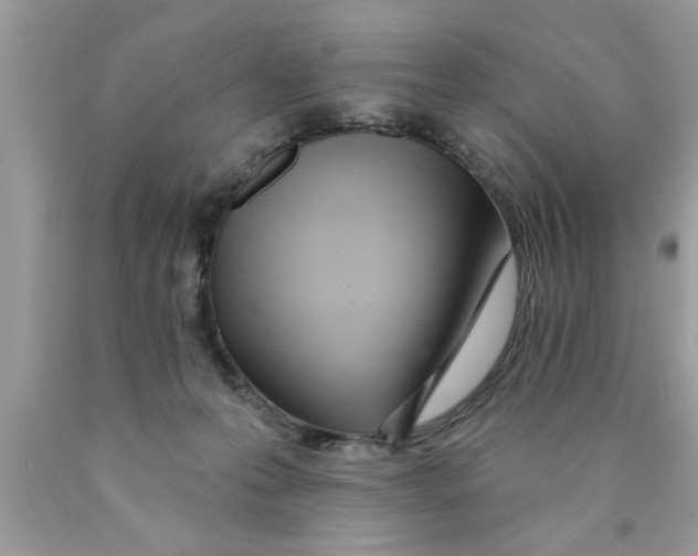 X0000089860223200707262135