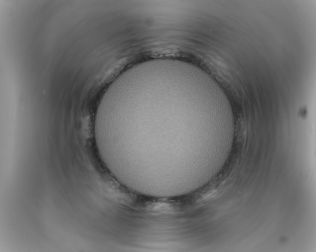 X0000089860224200707262135