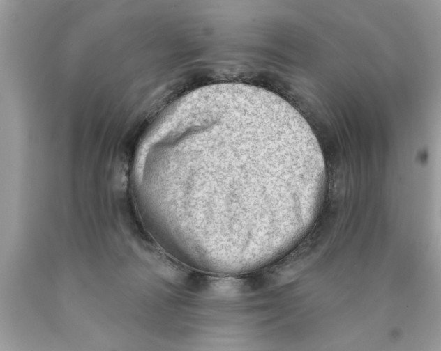 X0000089860226200707262135