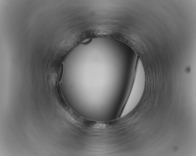 X0000089860227200707262135