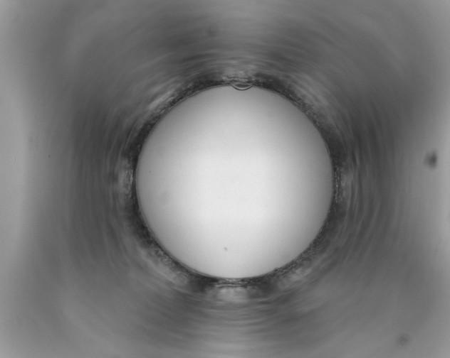 X0000089860228200707262135