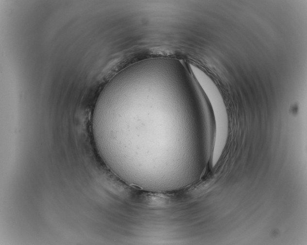 X0000089860229200707262135