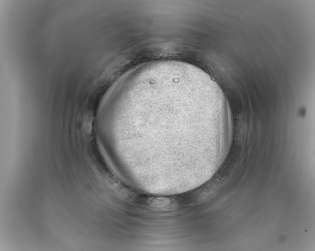 X0000089860230200707262135