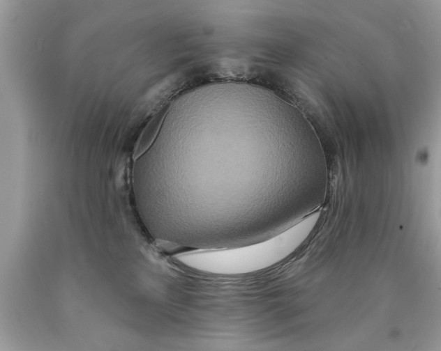 X0000089860233200707262135