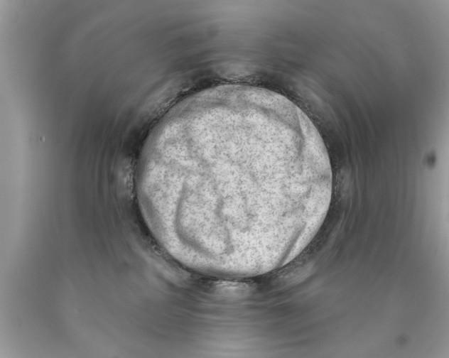 X0000089860234200707262135