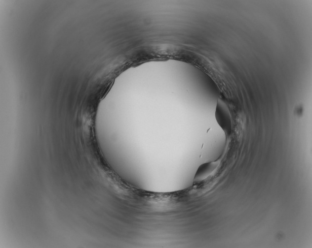 X0000089860235200707262135