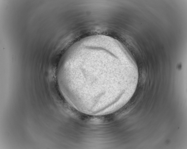 X0000089860236200707262135