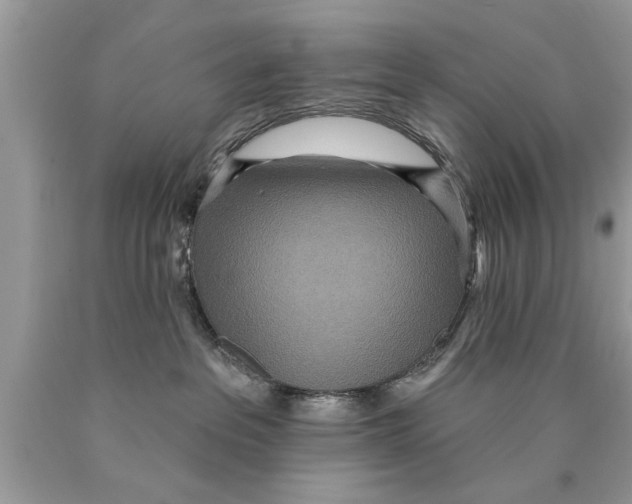 X0000089860237200707262135