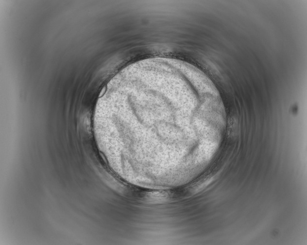 X0000089860238200707262135