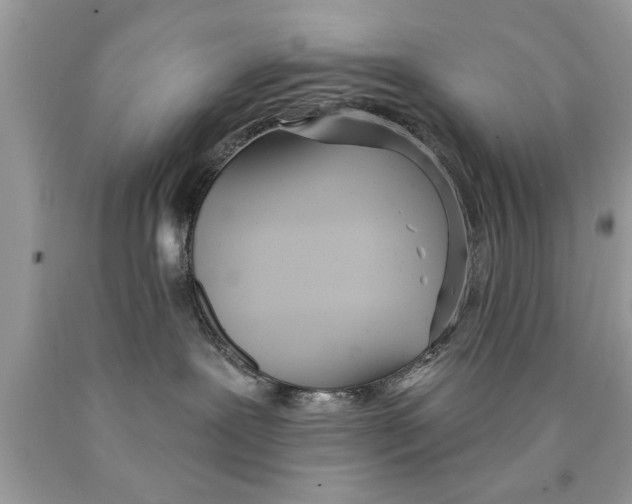 X0000089860239200707262134