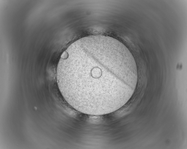 X0000089860240200707262134