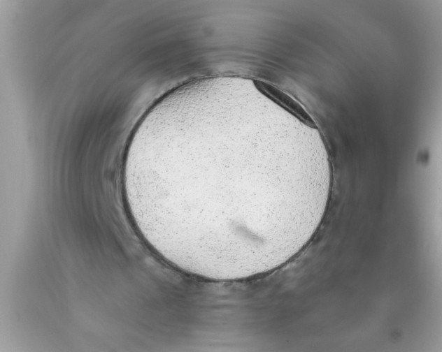 X0000089860241200707262134