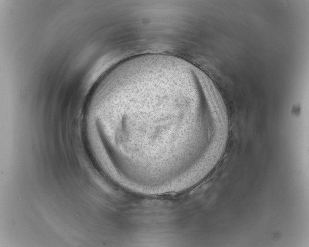 X0000089860242200707262134