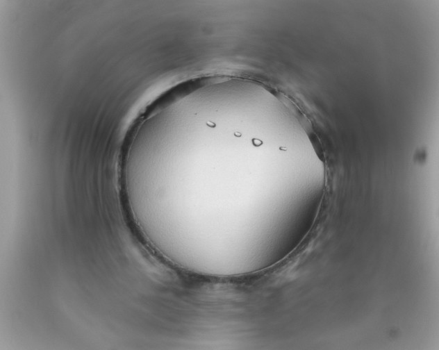 X0000089860244200707262134