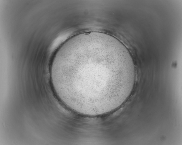 X0000089860245200707262134