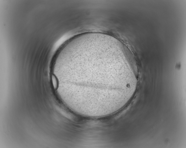 X0000089860246200707262134