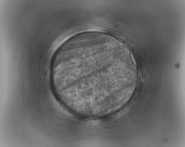 X0000089860247200707262134