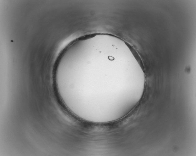 X0000089860248200707262134