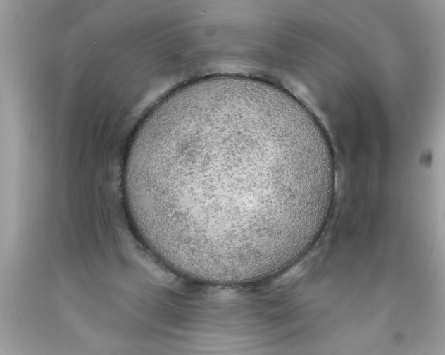 X0000089860249200707262134