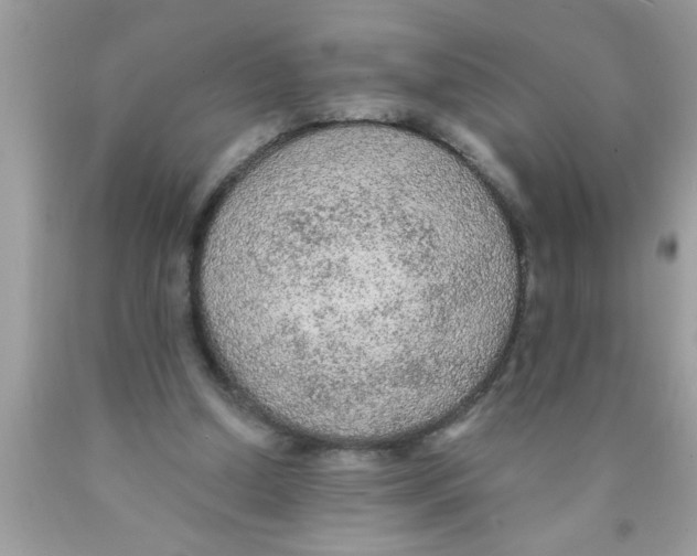 X0000089860250200707262134